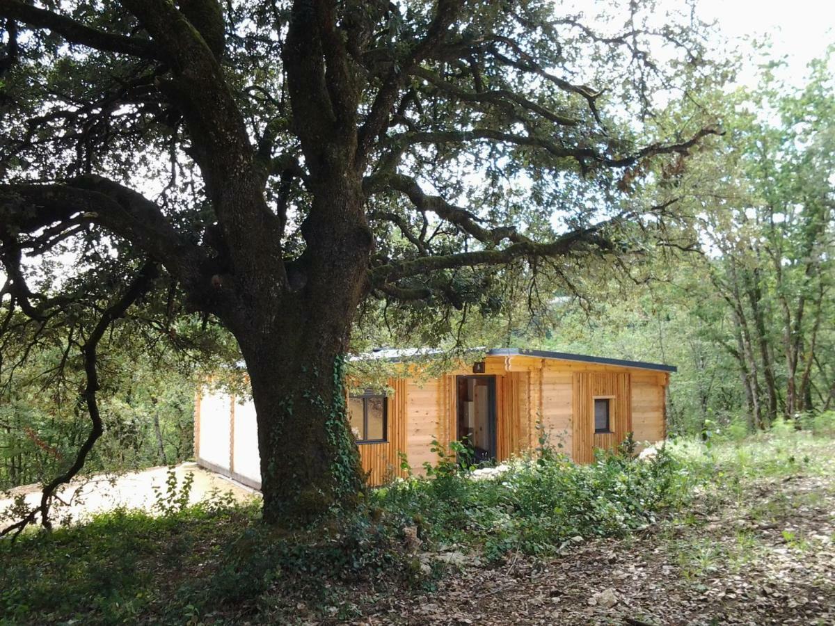 Gîtes du Chêne Vert Montignac-Lascaux Exterior foto