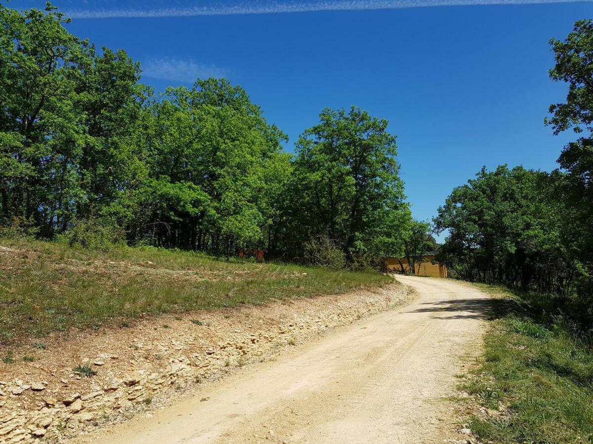 Gîtes du Chêne Vert Montignac-Lascaux Exterior foto