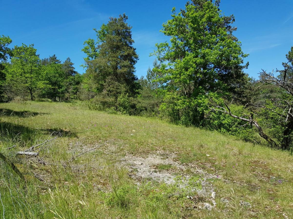 Gîtes du Chêne Vert Montignac-Lascaux Exterior foto